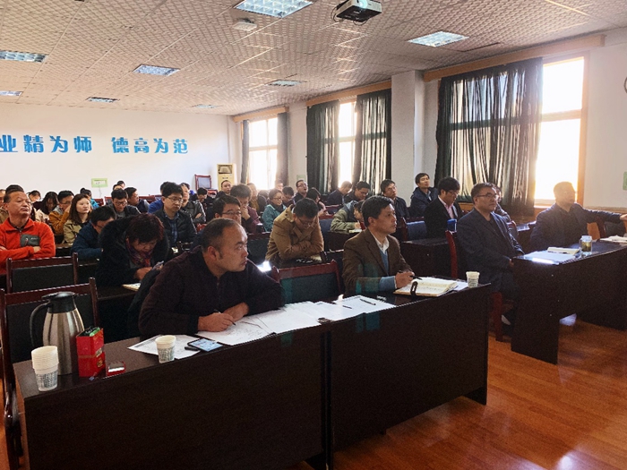 楊1.jpg